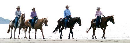 Wonga QLD New Castle Holiday