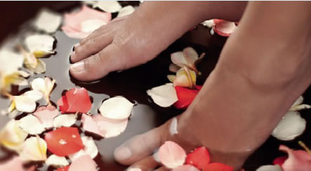 Universal Body - New Castle Holiday 1