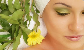 Indica Spa - New Castle Holiday 1