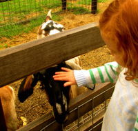Collingwood Children's Farm - New Castle Holiday