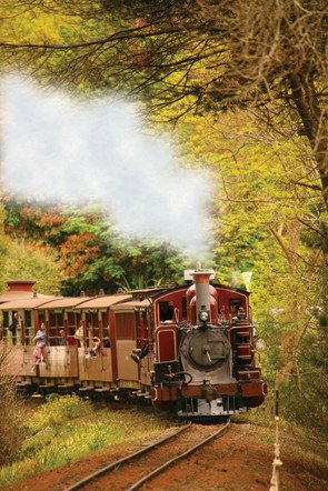 Puffing Billy - New Castle Holiday 5