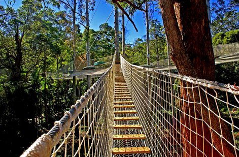 FreemanX Experience - New Castle Holiday 2