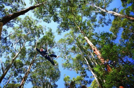 FreemanX Experience - New Castle Holiday 5