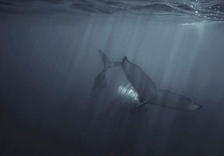 Eleven40 Gallery - New Castle Holiday 4