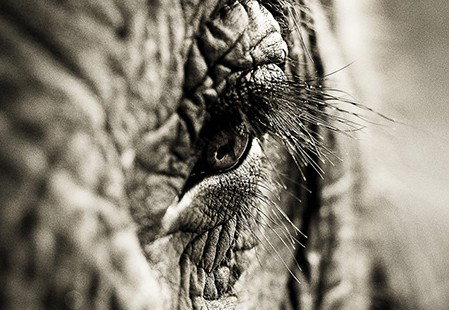 Eleven40 Gallery - New Castle Holiday 5