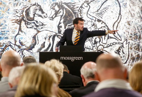 Mossgreen - New Castle Holiday 0