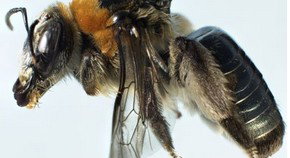 Western Australian Museum - New Castle Holiday 0