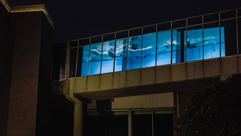 Kingston Arts - New Castle Holiday 8