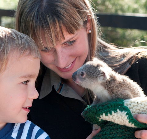 Australian Reptile Park - New Castle Holiday 1