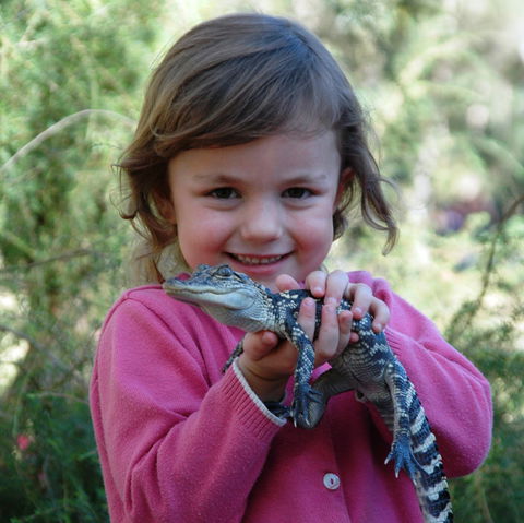 Australian Reptile Park - New Castle Holiday 2