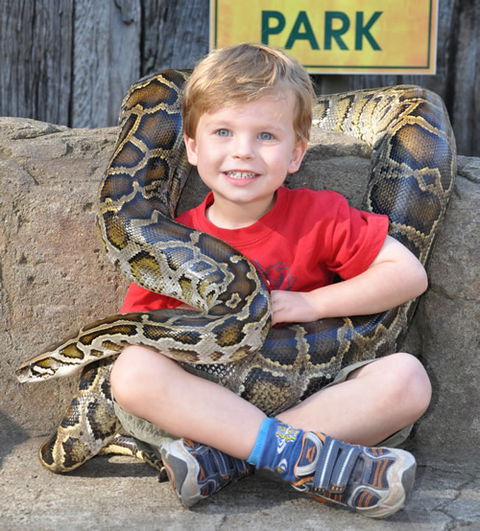 Australian Reptile Park - New Castle Holiday 3