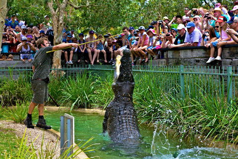 Australian Reptile Park - New Castle Holiday 4