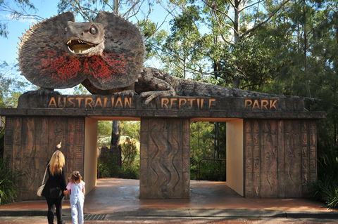 Australian Reptile Park - New Castle Holiday 5