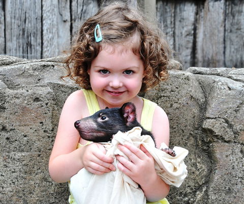 Australian Reptile Park - New Castle Holiday 8