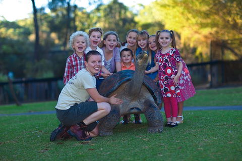 Australian Reptile Park - New Castle Holiday 11