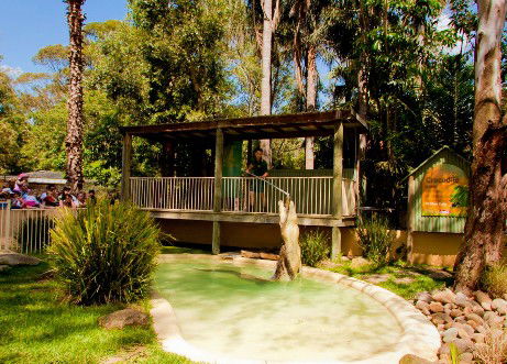 Featherdale Wildlife Park - New Castle Holiday 2