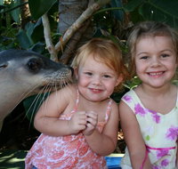 Dolphin Marine Magic - New Castle Holiday