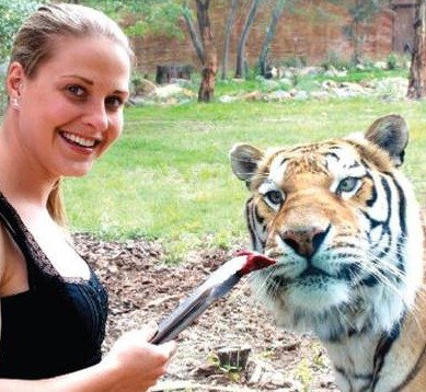 National Zoo & Aquarium - New Castle Holiday 4