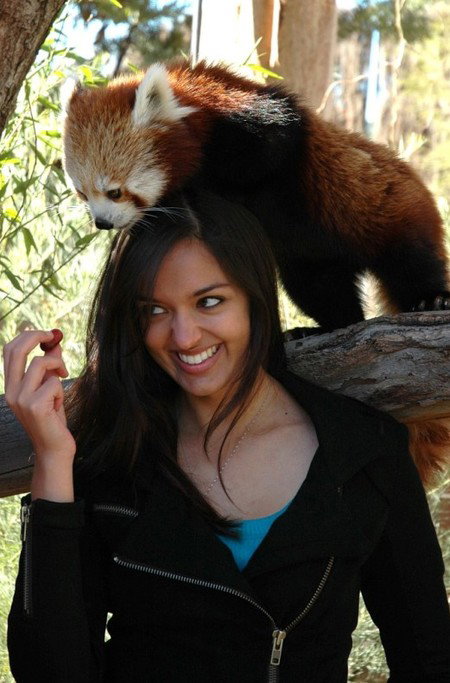 National Zoo & Aquarium - New Castle Holiday 8