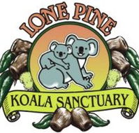 Lone Pine Koala Sanctuary - New Castle Holiday