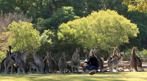 Lone Pine Koala Sanctuary - New Castle Holiday 1