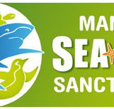 Manly SEA LIFE Sanctuary - New Castle Holiday