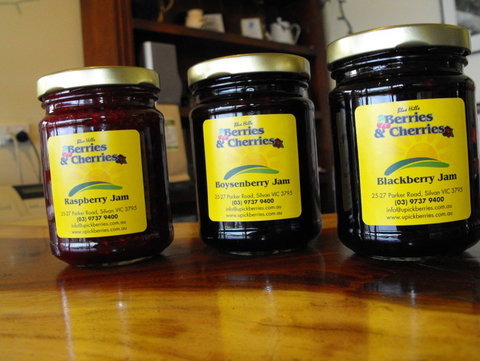 Blue Hills Berries & Cherries - New Castle Holiday 1