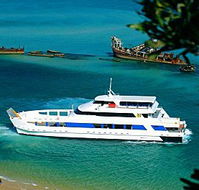 Queensland Day Tours - New Castle Holiday