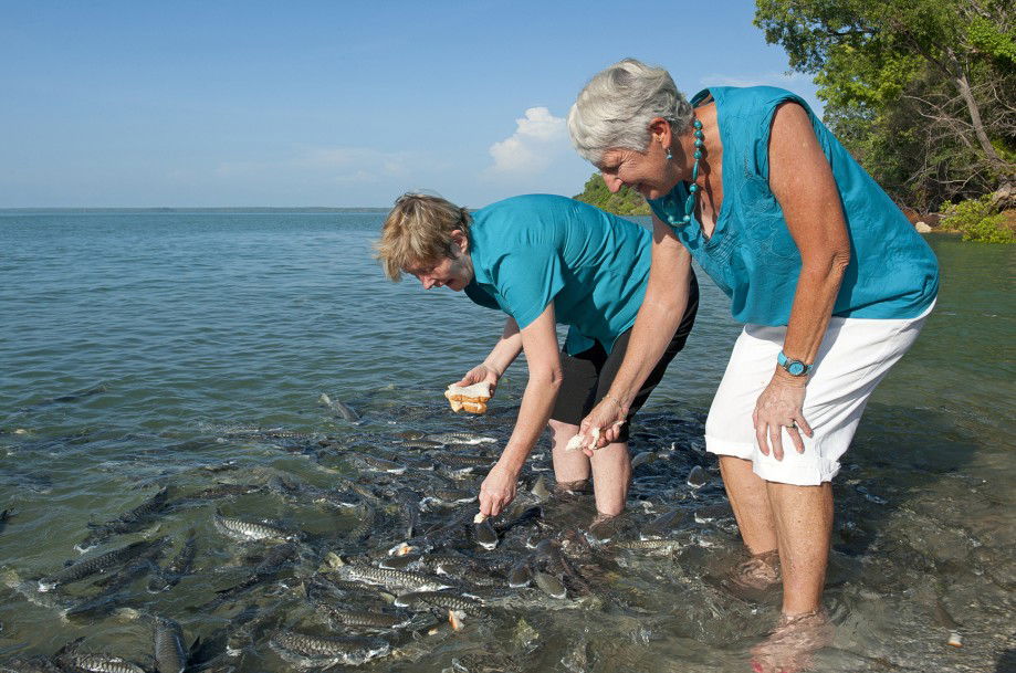 Darwin City NT New Castle Holiday