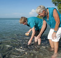 Aquascene Fish Feeding Sanctuary - New Castle Holiday