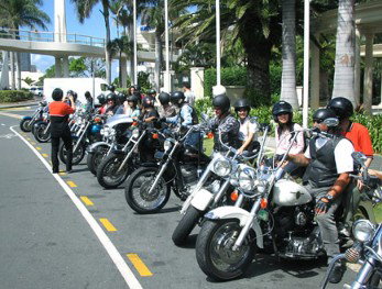 Wildfire Tours - New Castle Holiday 1