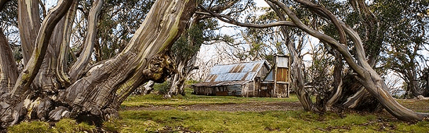 High Country Scenic Tours - New Castle Holiday