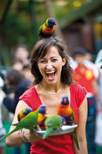 Currumbin Wildlife Sanctuary - New Castle Holiday 10