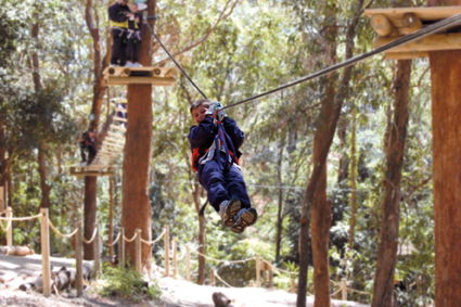 Currumbin Wildlife Sanctuary - New Castle Holiday 11