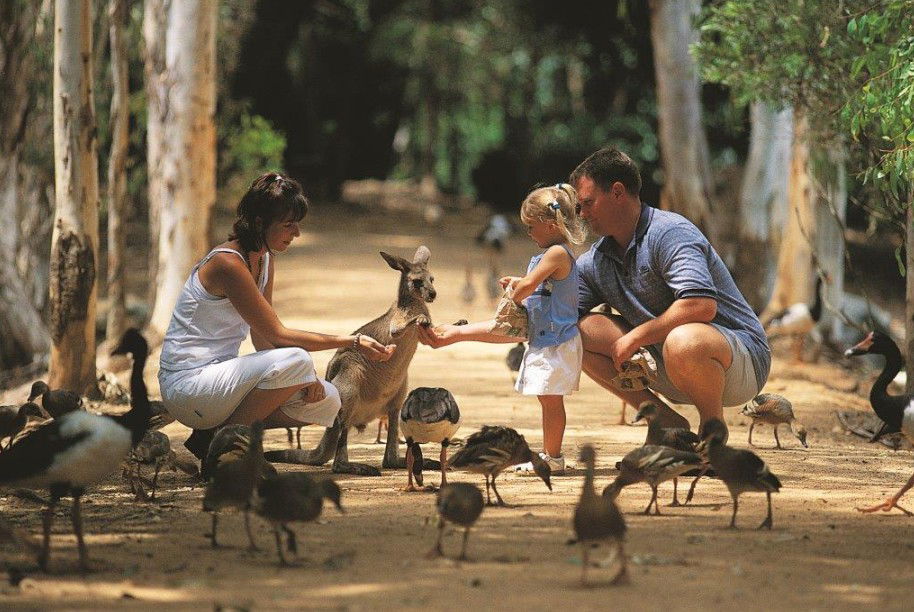 Townsville QLD New Castle Holiday