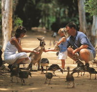 Billabong Sanctuary - New Castle Holiday