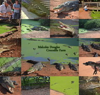 The Malcolm Douglas Crocodile Park - New Castle Holiday