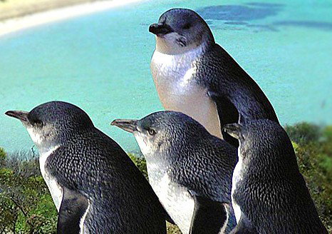 Bentley WA New Castle Holiday