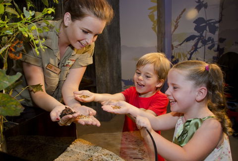 WILD LIFE Sydney Zoo - New Castle Holiday 1