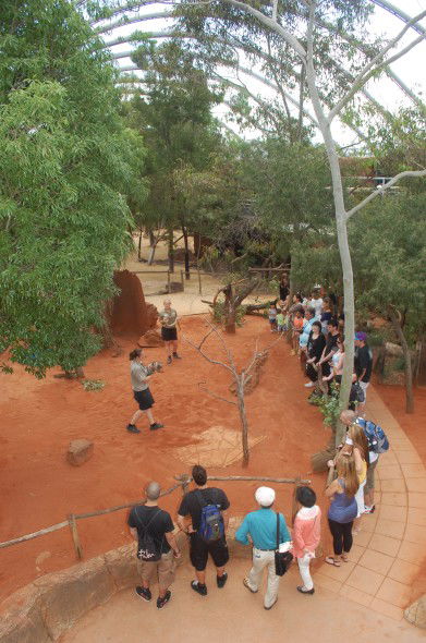 WILD LIFE Sydney Zoo - New Castle Holiday 2