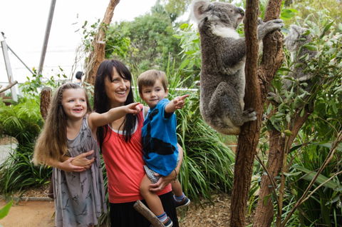 WILD LIFE Sydney Zoo - New Castle Holiday 3