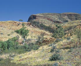 Mount Newman - New Castle Holiday 0