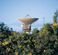 Big Dish - New Castle Holiday