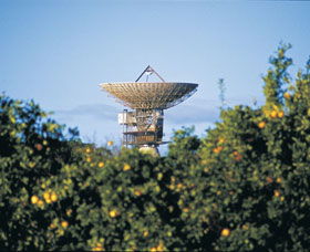 Big Dish - New Castle Holiday 0