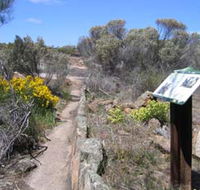 Christmas Rock Walk - New Castle Holiday