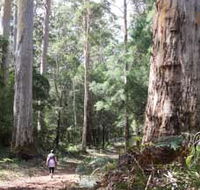 Warren River Loop Walk - New Castle Holiday