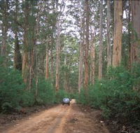 Boranup Drive - New Castle Holiday