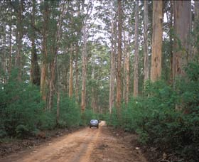 Boranup Drive - New Castle Holiday 0