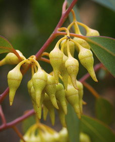 Fitzgerald National Park WA New Castle Holiday