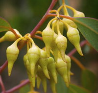 Mount Short Scenic Drive - New Castle Holiday